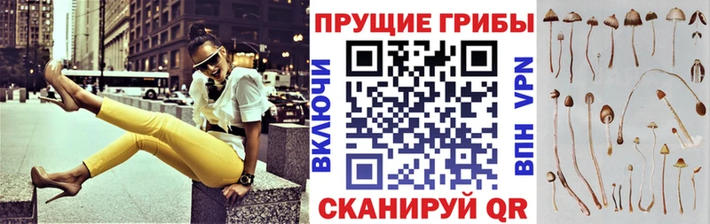 KRAKEN ссылки  хочу   Заинск  Галлюциногенные грибы прущие грибы 